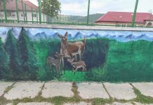 Foto. Gardul școlii din Veneția de Sus, o poveste colorată. O echipă de artiși coordonată de Mariana Șerban pune în practică proiectul primarului de la Părău, Ovidiu Ovesea