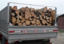 La furat de lemne din pădurea comunei Șercaia