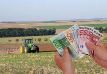 APIA: 2,78 miliarde euro autorizate la plată în cadrul Campaniei 2022