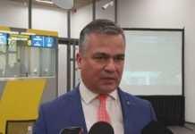 Adrian Veștea, propunerea PNL pentru funcția de ministru al Dezvoltării
