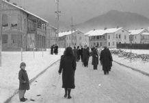 Colonia Ucea a devenit orașul Victoria, în 12 noiembrie 1954. Blocurile au fost construite după model sovietic. 13 primari în șapte decenii