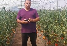 Foto și Video. Afacere locală. Legumele de la Sere Șercaia, căutate pe piața din Făgăraș. Soții Iacob cultivă legume în 12 sere
