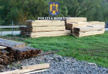 O firmă din comuna Recea, amendată de polițiști cu 9000 lei și i-a fost confiscată cantitatea de 28 mc lemn
