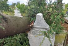 Foto. Furtuna a produs pagube majore, la Victoria. Și mormântul părintelui Codrea a fost afectat