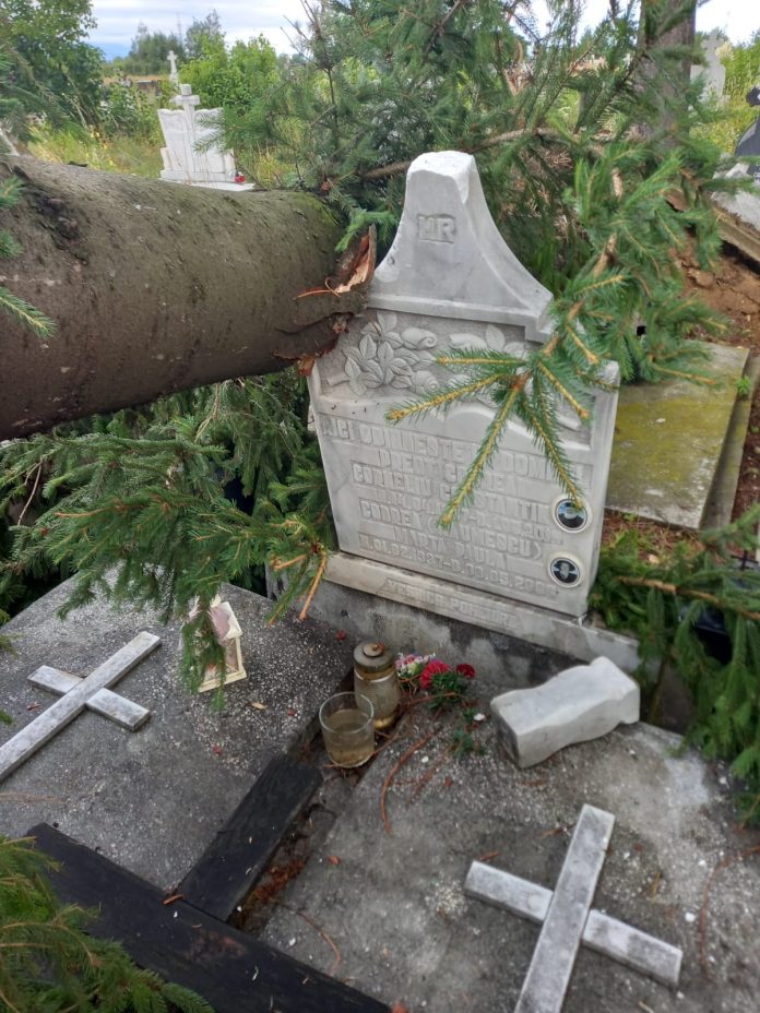 359781606_739830471483153_6205957509484895986_n