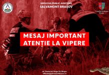Salvamont Brașov: Sfaturi despre cum să preveniţi să fiți muşcat de viperă. Pericol de vipere în Munții Făgăraș
