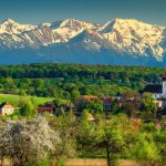 angajare adi tara fagarasului