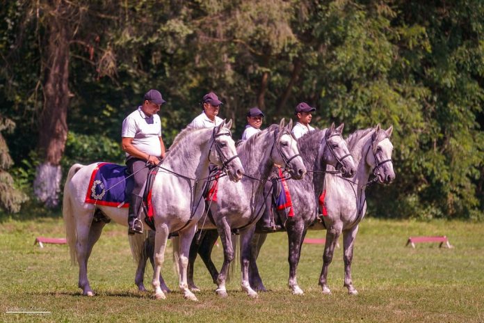 366831007_671098985055749_6586323649374669573_n