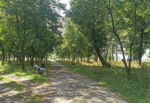Foto și Video. Deși există un contract de peste 9,8 milioane de lei, Parcul Regina Maria din Făgăraș zace între bălării necosite. Proiecte europene doar pe hârtie