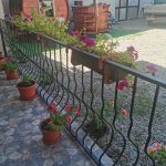 IMG_20230804_115420