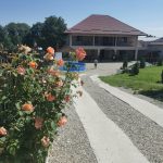 IMG_20230804_120602