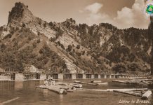 Societățile de exploatare și prelucrare a lemnului la 1900 – 1948. Cazul “Carpatina”