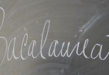 Dezastru la BAC-ul de toamnă: 32,63% promovabilitate. Patru elevi au fost eliminați din sala de examen de la ,,Radu Negru“ din Făgăraș