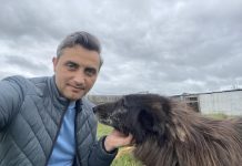 Lucian Rad: ,,DMPA, afaceri macabre pe bani publici, interese mărunte de partid si multă nepăsare“. Rad a demisionat din USR, CJ Brașov și din funcția de consilier al primarului din Brașov. Acuzații aduse lui Conț Valentin