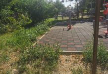 Bugetare participativă la Făgăraș: Aceeași Mărie cu aceeași pălărie. ,,Spațiul de mobilitate pentru seniori“ din buza cimitirului este abandonat și camuflat de bălării