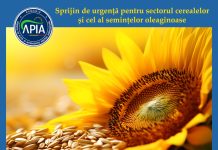 APIA primește cereri de acordarea unui sprijin de urgență pentru sectorul cerealelor și a semințelor oleaginoase