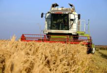 Scrisoare deschisă: SFÂRȘITUL SECTORULUI AGRICOL DIN ROMÂNIA