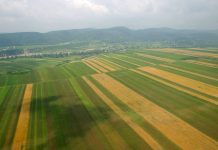 Noi reguli pentru fermieri în campania 2023. APIA va folosi un sistem de monitorizare (checks by monitoring) a parcelelor