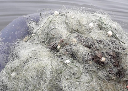 plasa-de-pescuit-pe-olt