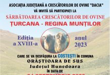 Sărbătoarea oierilor, ,,Țurcana-Regina Munților“, ediția a XVIII-a, se organizează la Costești-Hunedoara. Fermierii din zona Făgărașului și-au anunțat prezența