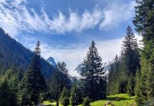 Pe Valea Sâmbetei și în Retezat s-au filmat secvențe pentru un film coreean. Regizorul Na Hong-jin a fost impresionat de sălbăticia pădurilor din Carpați