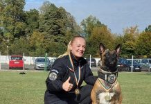 Cei mai buni câini de serviciu ai MAI, din întreaga țară, sunt la Sibiu. Rezultatele Campionatului Național de Dresaj al MAI