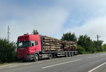 Tir încărcat cu arbori, oprit de polițiști la Șercaia. Șoferul s-a ales cu dosar penal