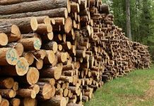 Goana după lemnul de foc. La Breaza, polițiștii au găsit 27 mc lemn de foc fără stăpân