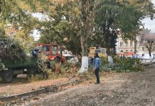Foto și Video. Făgărașul gri, ,,orașul de 15 minute“: betoane, pavele, borduri, copacii sub lama drujbelor. Primarul PSD critică făgărășenii cu mai multe mașini, deși el are două, una pe ,,firma mamei“