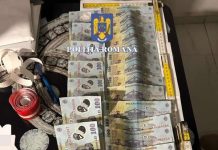 Percheziţii în judeţele Sibiu, Braşov şi Covasna la presupuşi hoţi care au furat 21 de bovine