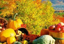 Ziua recoltei se sărbătorește duminică, la Rucăr