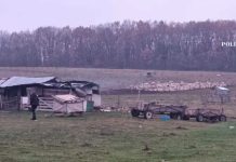 Video. Stână luată la puricat de procurorii DIICOT. Minor de 13 ani exploatat de ciobani