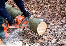 Ucis de un buștean în pădurea Felmerului. Tânărul de 34 de ani lucra zilier ca tăietor de lemne