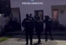 Video. Percheziții la persoanele care derulează activități economice cu autoturisme și piese auto second-hand
