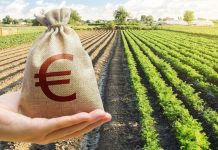 APIA a verificat peste 15.000 de fermieri în Campania 2023