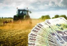 APIA a plătit, în decembrie, subvenții în valoare de 487 milioane de lei la 700.000 de fermieri