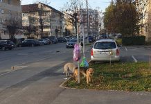 Document. Taxa de salubritate se majorează, la Făgăraș. Salco vrea 25,95 lei/persoană/lună, iar proiectul HCL stipulează 20 lei, plus cota de dezvoltare
