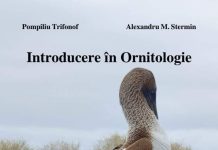 Lansare de carte la Victoria. Profesorii Pompiliu Trifonov și Alexandru Stermin surprind iubitorii de carte și de natură cu ,,Introducere în Ornitologie”