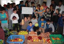 Șase unități școlare din județ vor fi dotate de CJ Brașov. Pe listă se află și Centrul Şcolar pentru Educaţie Incluzivă Făgăraş