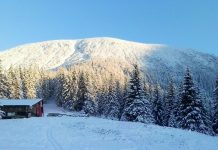 Dragobete cu aromă de afinată și cu căsătorii de o zi, în Munții Făgărașului