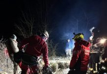 Doi câini, salvați de pompieri, la Comăna de Jos. Patrupezii au căzut într-un șanț adânc de 15 metri