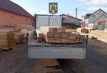 Amenzi pentru lemnul depozitat și prelucrat ilegal. O firmă din Făgăraș a fost sancționată