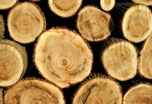 Bărbat din Comăna amendat de polițiști. Acesta transporta ilegal material lemnos