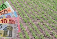 Subvenții pentru sectorul vegetal de 47,7 milioane de lei. APIA începe plățile ANT