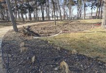 Road Construct, Meșterul Manole al Făgărașului. Din pixul primarului PSD, firma de casă a Primăriei a încasat peste 200.000 euro pentru studii și proiecte