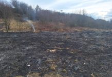 Video. Incendii de miriști la Mândra, Toderița și Rucăr
