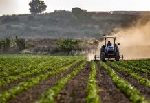 APIA. Startul Campaniei de primire a Cererilor de Plată, 4 aprilie 2024