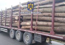 Transport ilegal de lemne confiscat de polițiști, la Ucea. Șoferul a rămas și fără camion