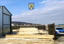 Peste 120 mc de material lemnos confiscați de polițiști. Opt firme amendate cu 46.000 lei