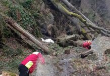 Traseul turistic de pe Valea Viștea Mare din Munții Făgăraș, degajat de salvamontiștii de la Victoria